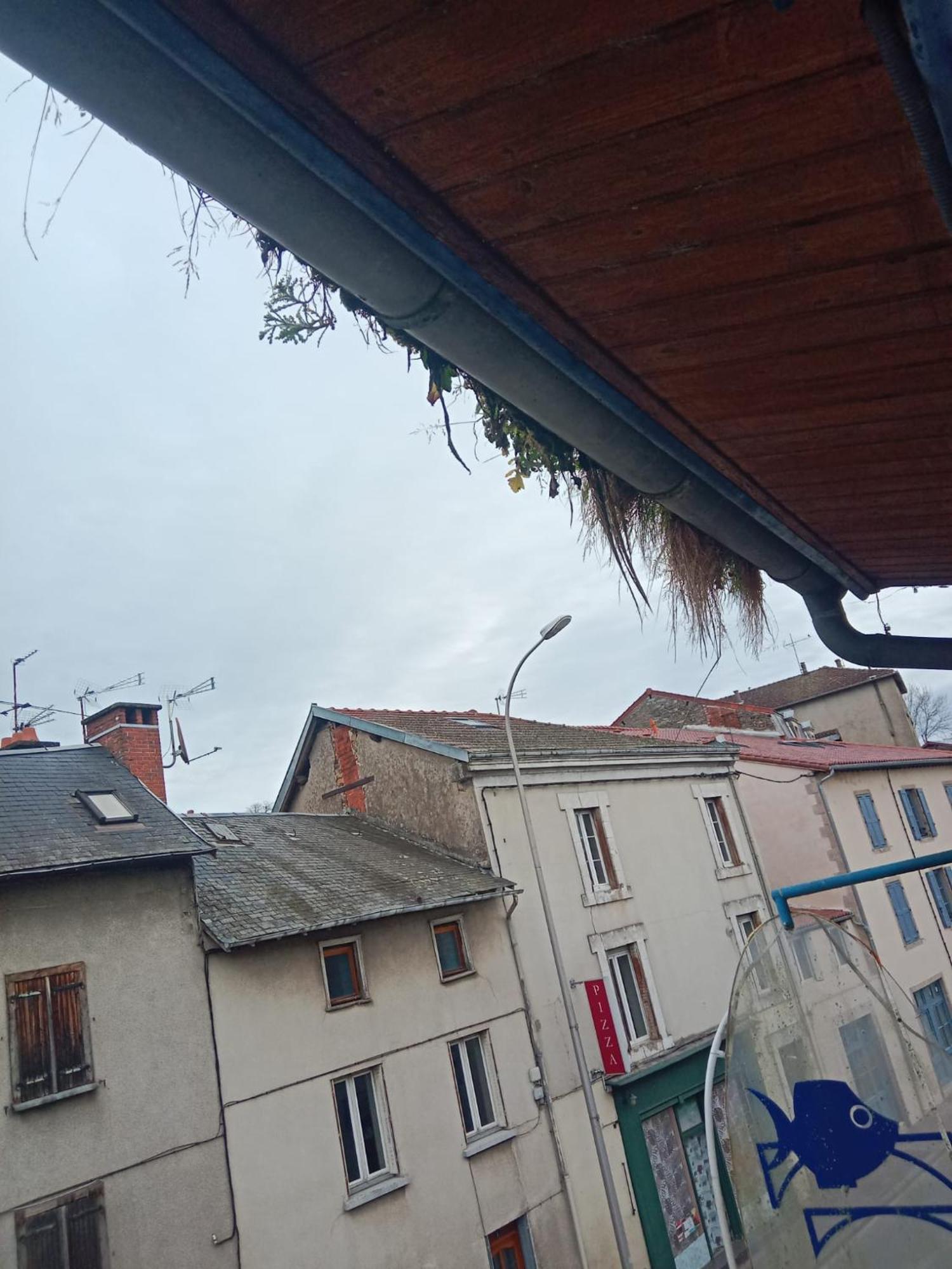 La Coquille D'Or Hotel Aixe-sur-Vienne Luaran gambar